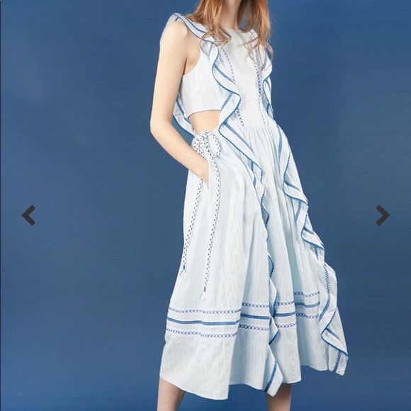 Tanya Taylor Dresses & Skirts - 🆕 NWT 2018 Tanya Taylor Rael Dress - Pristine